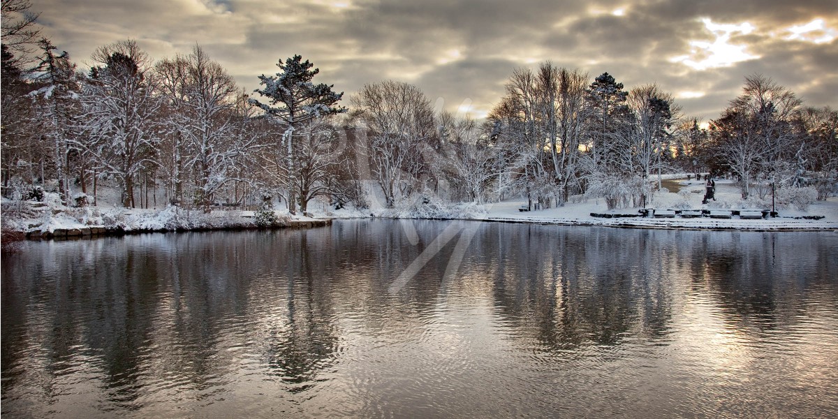 St. John's, Bowring Park winter